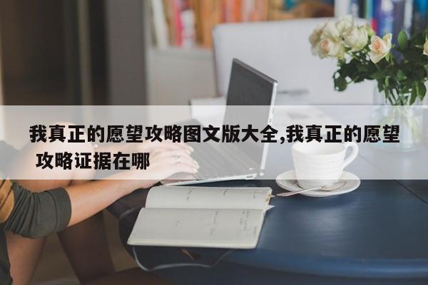 我真正的愿望攻略图文版大全,我真正的愿望 攻略证据在哪