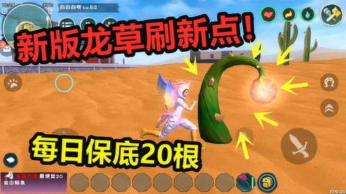 魔法与创造游戏捡龙草攻略(创造与魔法捡龙草技巧)