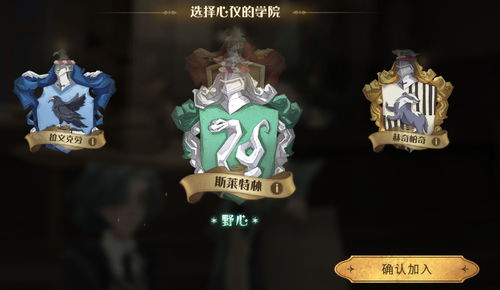 哈利波特魔法学校游戏攻略(哈利波特魔法学院游戏攻略)