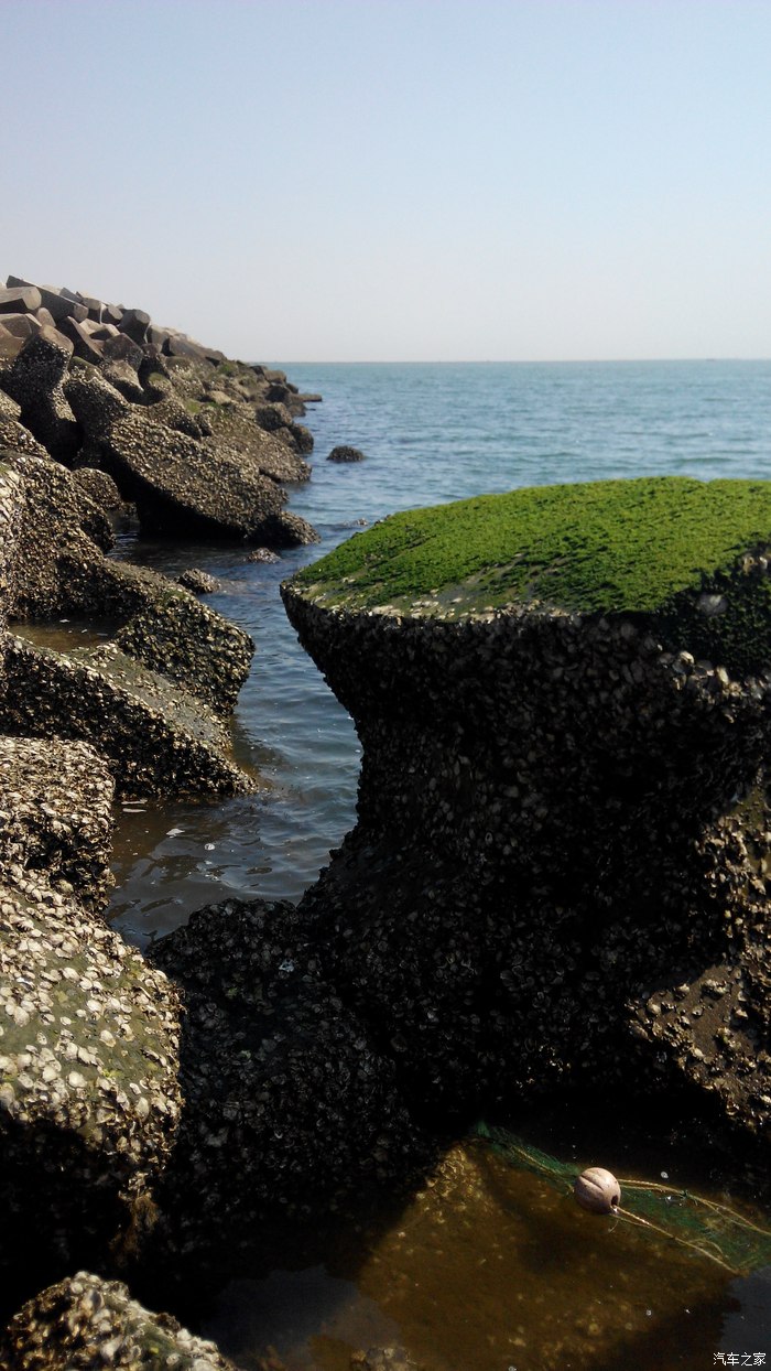 塘沽赶海攻略游戏(塘沽赶海去哪)