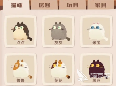 科养猫攻略游戏(怎么才能做到科学养猫?)