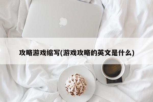 攻略游戏缩写(游戏攻略的英文是什么)