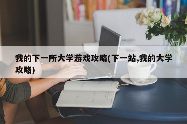 我的下一所大学游戏攻略(下一站,我的大学攻略)