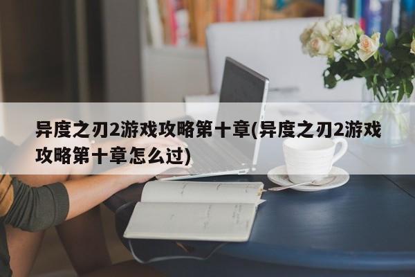 异度之刃2游戏攻略第十章(异度之刃2游戏攻略第十章怎么过)