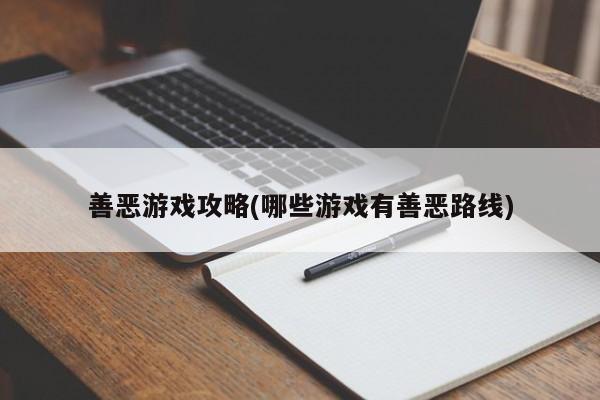 善恶游戏攻略(哪些游戏有善恶路线)