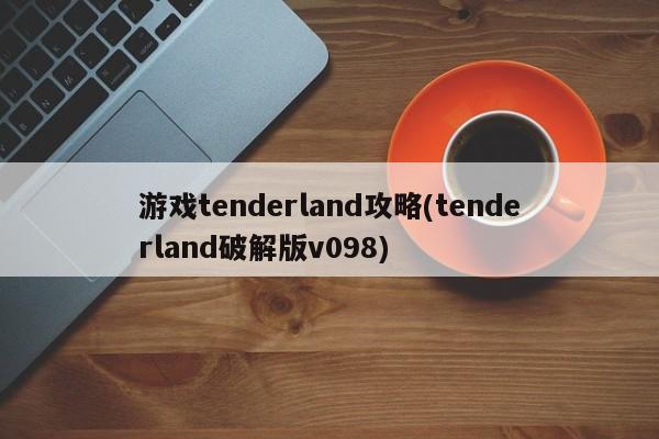 游戏tenderland攻略(tenderland破解版v098)