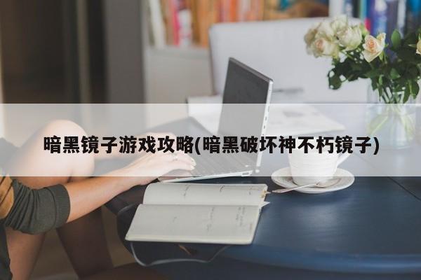 暗黑镜子游戏攻略(暗黑破坏神不朽镜子)