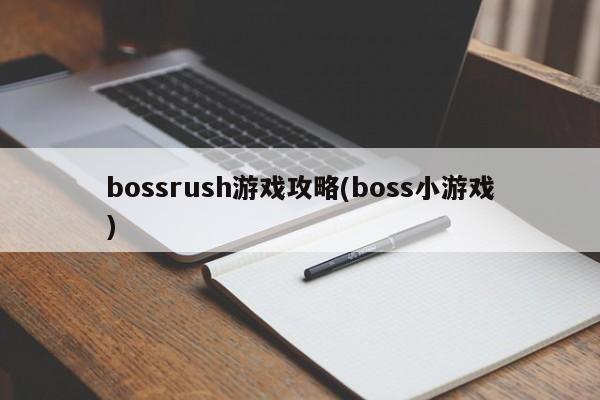 bossrush游戏攻略(boss小游戏)